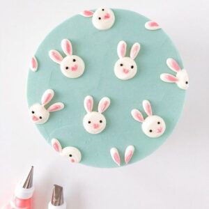 Hopscotch Bunny Pattern Cake