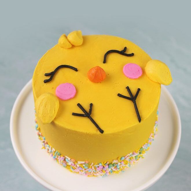 Sweet Baby Chick Cake _ Bakerella