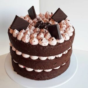 Chocolate Layered Naked Cake
