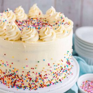 Sprinkle N Swirl Vanilla Cake
